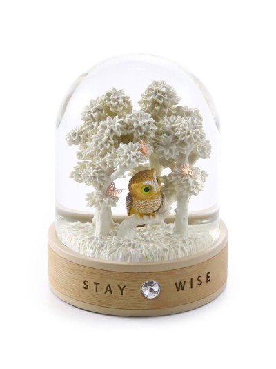 Boule à Neige avec Hibou, Symbole de Sagesse et de Connaissance I Glassglobe