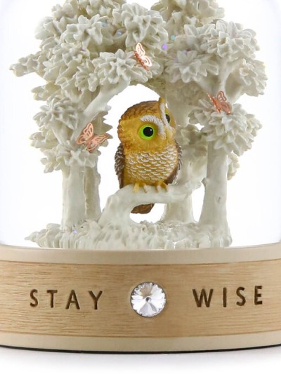 Schneekugel mit Eule – Symbol für Weisheit und Erkenntnis | GLASSGLOBE