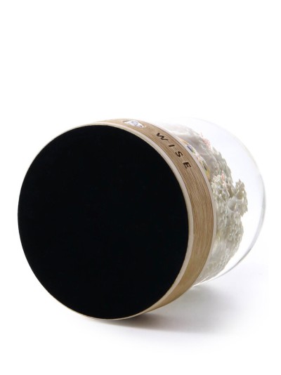 Schneekugel mit Eule – Symbol für Weisheit und Erkenntnis | GLASSGLOBE