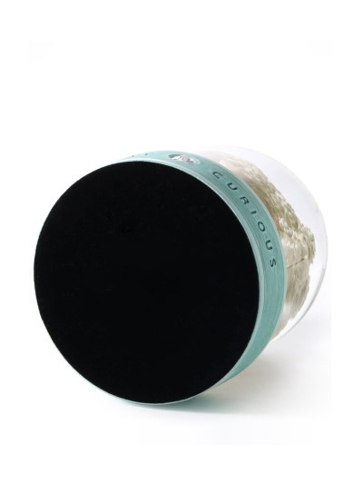 Schneekugel „Stay Curious – Die Neugier" Entdeckergeist und Freude an kleinen Entdeckungen