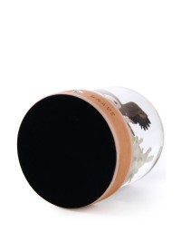 Schneekugel „Stay Brave – Der Mut“ mit Adler, Symbol für Mut und Inspiration